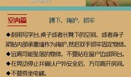 临沂地震爆料网官网最新,揭秘地震预警与应急响应措施