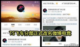 dyg最新爆料,揭秘战队内部秘密与未来动向