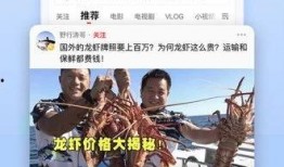 爆料阆中猛哥视频下载最新,揭秘最新热门视频背后的故事