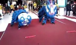 舞狮子表演视频爆料,揭秘传统表演背后的精彩瞬间