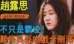 爆料霸凌主播视频大全,主播视频大全揭露黑暗面