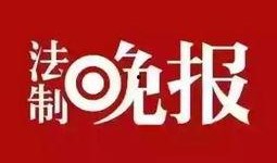 江西卫视热点爆料新闻视频,热点新闻背后的惊人真相