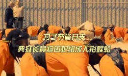人形蜈蚣在线观看,惊悚悬疑，探寻人性深渊的恐怖之旅