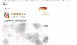 娱乐吃瓜账号名字,跟随吃瓜账号，探寻明星幕后故事