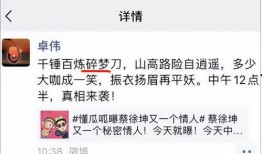 卓伟爆料蔡徐坤原图视频,蔡徐坤原图视频揭秘，真相令人震惊！