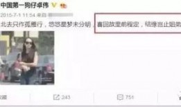 卓伟爆料过宋茜吗视频