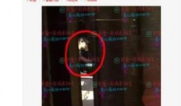 微博娱乐博主爆料,某明星恋情曝光，细节惊人！