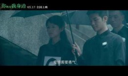 热点情感爆料视频,视频中的爱恨情仇