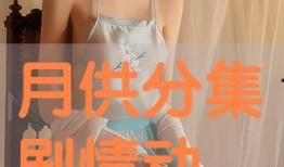 月供 在线观看,在线观看轻松掌握房贷还款攻略”