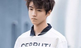 头号爆料王源王俊凯视频