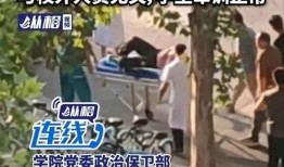 爆料河南洛阳事件最新消息,真相揭晓，多方调查持续深入