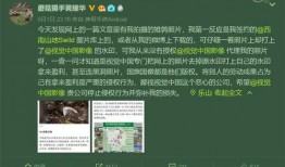 新闻爆料水印贴纸图片,水印贴纸图片背后的真相