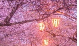 唐嫣天下爆料视频在线观看,精彩瞬间在线观看