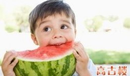 朝堂吃瓜第二十三集免费观看,宫廷秘闻大揭秘，免费观看精彩不容错过