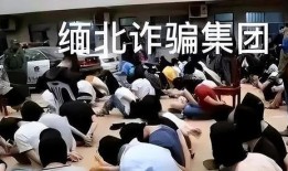 缅甸诈骗真实爆料案例视频,受害者真实爆料，惊心动魄的跨境陷阱