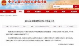 信阳今日爆料新闻视频下载,视频揭秘事件真相，速来围观！