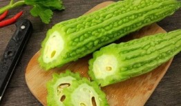 吃瓜网免费吃瓜视频在线