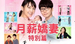 月薪娇妻在线观看,揭秘现代都市爱情与婚姻的甜蜜挑战
