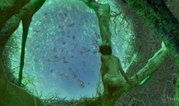 少年派奇幻漂流在线观看,一场惊心动魄的海洋求生之旅