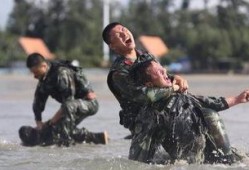 中国特种兵爆料视频大全,实战技能与英勇事迹集锦