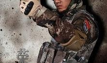 雪域雄鹰在线观看全集,探寻高原传奇，共赴英雄征程