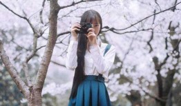 sakura新闻爆料,揭秘事件背后惊人真相