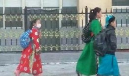 蒙古袍子爆料视频在线观看,独家爆料视频带你领略传统服饰魅力