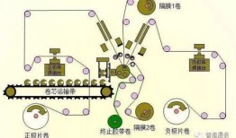 枸杞生产过程爆料视频,从采摘到成品，一探究竟