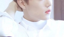 肖战替身爆料视频大全下载,揭秘幕后真相与幕后故事