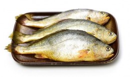 小黄鱼爆料新闻视频大全,新闻视频大全精彩瞬间汇总