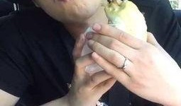 金刚哥被爆料了吗视频