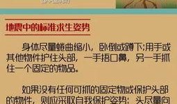 临沂地震爆料网官网最新,揭秘地震预警与应急响应措施