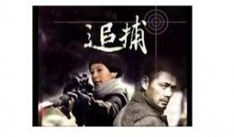 追捕电视剧在线观看,生死较量，正义之战