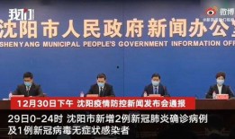 沈阳爆料新闻,揭秘某事件背后惊人真相