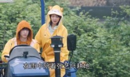 陈大锤最新爆料视频在线观看,揭秘幕后真相，精彩瞬间不容错过