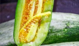 网红吃瓜视频网站入口,带你走进娱乐圈幕后风云
