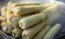 郑州大料玉米爆料视频,大料玉米爆料视频深度解析