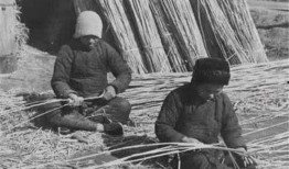 成县吃瓜网红事件始末,一场网络舆论的风暴与反思