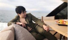 主播爆料沈腾视频大全下载,笑点满满，欢乐无限