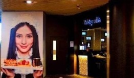 餐厅破产爆料案例视频,揭秘经营困境与财务危机