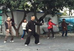 今日太极拳热点爆料新闻,揭秘古老技艺的现代魅力与传承之路