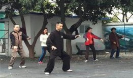 今日太极拳热点爆料新闻,揭秘古老技艺的现代魅力与传承之路