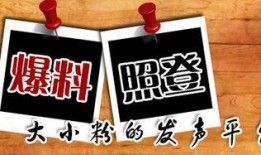 龙门新闻爆料,揭秘龙门镇最新动态与热点事件