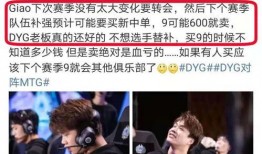 dyg最新爆料,揭秘战队内部秘密与未来动向