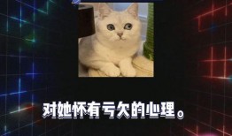 娱乐吃瓜娱乐八卦,揭秘明星幕后故事与八卦趣闻