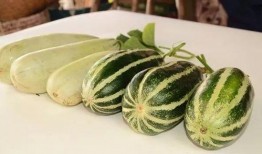 51吃网瓜网红有哪些,揭秘当下热门网红风云录