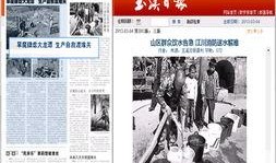 江川媒体爆料新闻,揭秘重大新闻背后的真相
