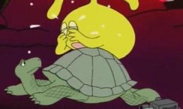 海龟爸爸爆料视频全集,揭秘真实生活幕后故事