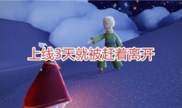 光遇最新季节海鸥季爆料,光之梦境新篇章——揭秘光遇海鸥季神秘魅力