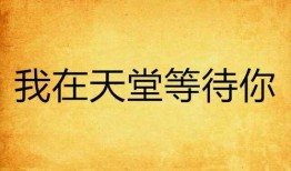 我在天堂等你在线观看,一部感人至深的爱情传奇
